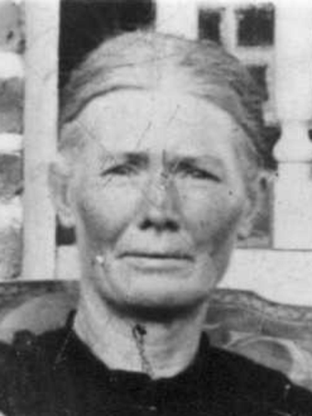 Eveline Lucretia Willis (1844 - 1917) Profile